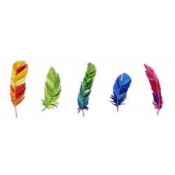 A set of colorful feathers
