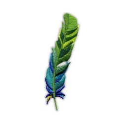 Feather - green and blue