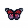 Little red and pink butterfly