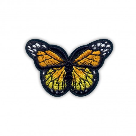 Little orange and yellow butterfly