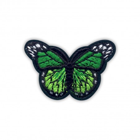 Little green butterfly