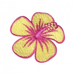 Hibiscus flower - yellow
