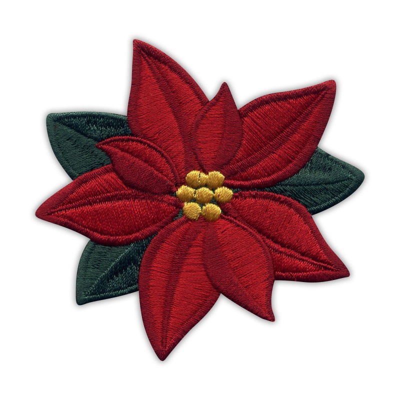 Poinsettia - Christmas - flower of the Holy Night