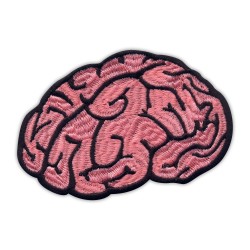 BRAIN - the cortex of the brain