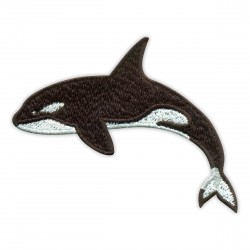 ORCA - killer whale