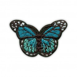 Little Turquoise Butterfly