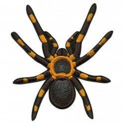 Tarantula - Spider