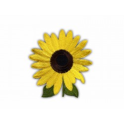 Sunflower with leaves