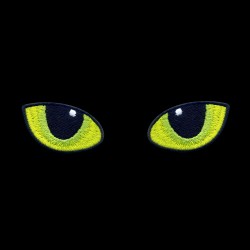 Cat eyes - at night