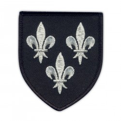 Temeria Coat of Arms - black shield